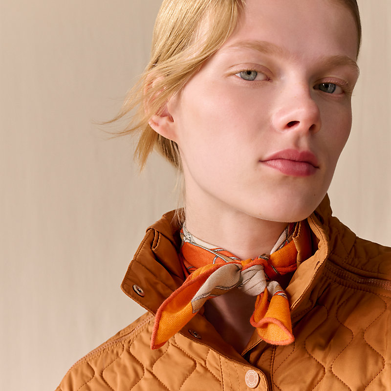 L'Instruction du Roy Bayadere scarf 45 - Brown | Hermès Mainland China